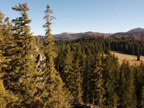 Foto Varful Prislopvazut de pe Piatra Totosului (c) Petru Goja